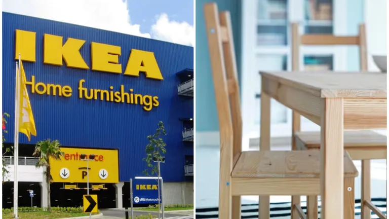 IKEA, implicată într-un scandal monstru. Abia acum s-a aflat de unde este luat lemnul din scaune, măsuţe şi biblioteci