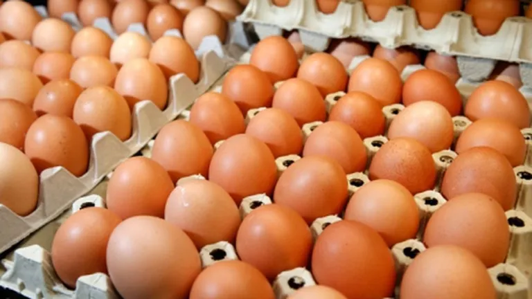 Se introduc noi taxe pentru ouă. Comisia Europeană anunță ce decizie a luat