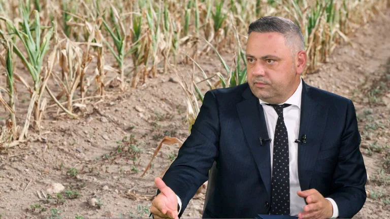 Ce despăgubiri vor primi fermierii afectați de secetă. Estimările Ministerului Agriculturii