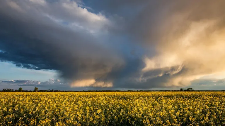 Se anunță prăpăd! România e țara extremelor. Fenomenele meteo care vor lovi nordul și sudul