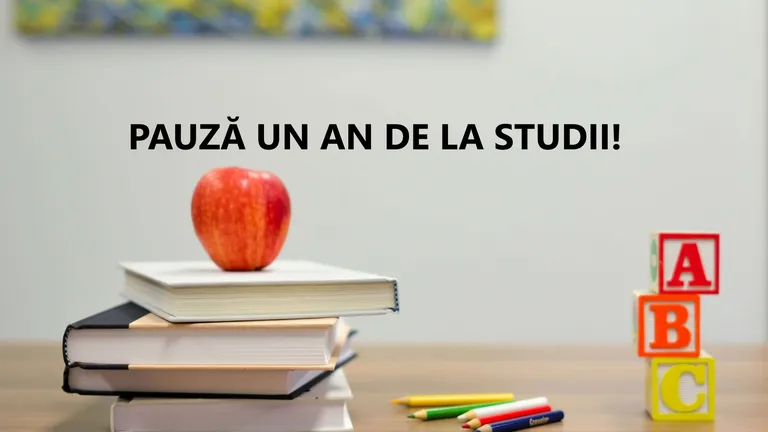 Țările în care elevii pot lua pauză 1 an de la școală. Ce reprezintă programul „Anul de tranziție”