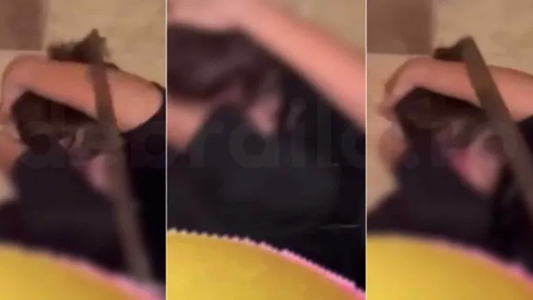 VIDEO Un minor de 16 ani din Brăila, aflat sub control judiciar după o bătaie în stradă, recidivează cu maceta. A agresat un elev în toaleta liceului. Motivul – o cerere de prietenie trimisă iubitei sale!