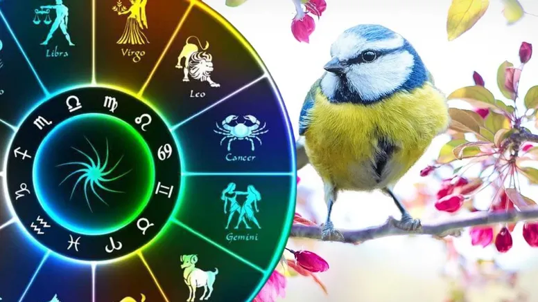 Horoscop 21 aprilie 2026. Zi cu avertismente astrale, chiar și o mică greşeală ar putea duce la pierderi financiare