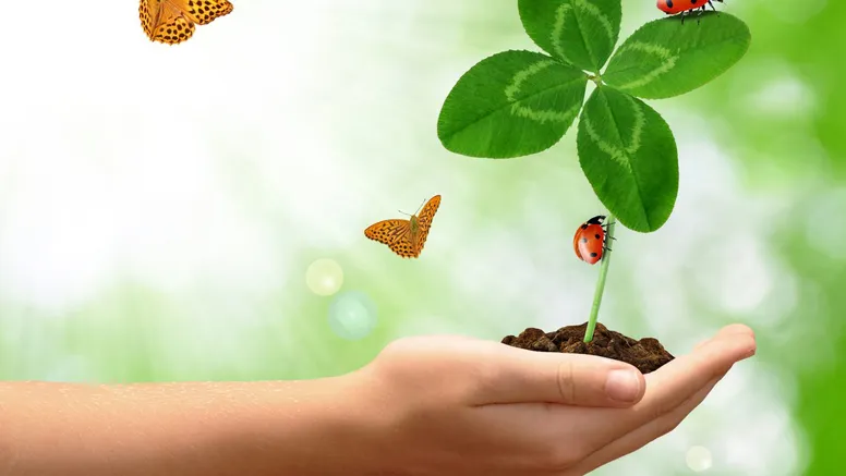 Horoscop special: Cele mai NOROCOASE zodii din a doua jumătate a anului 2026