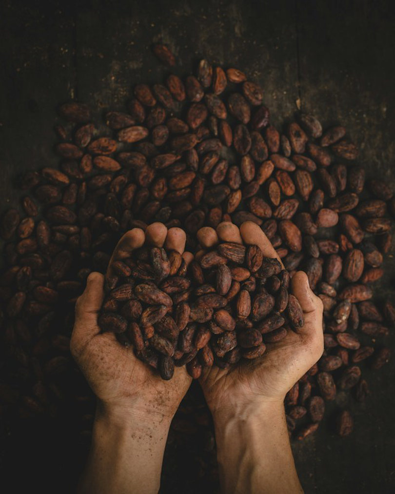 Cacao. Sursă foto: Pexels