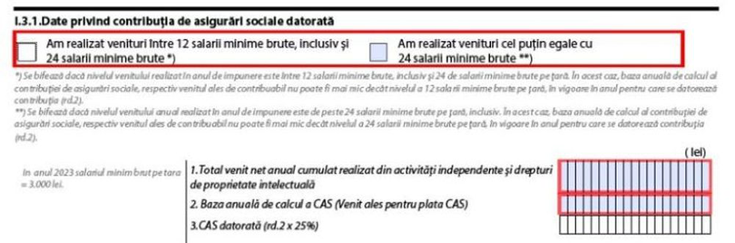 declarația unică 2024