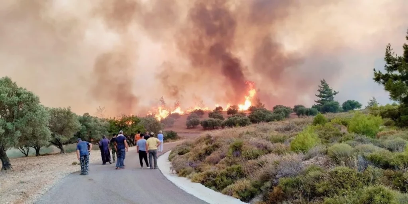 Grecia, afectată de incendii de vegetaţie