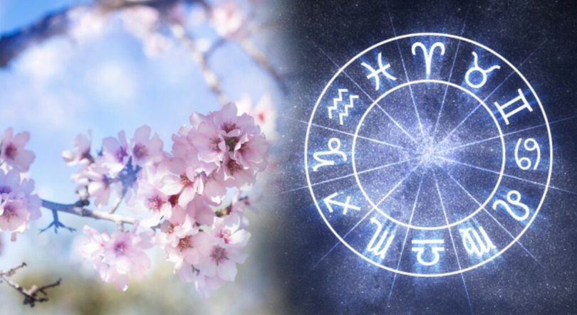 Zodii care trec printr-o transformare personală în amrtie