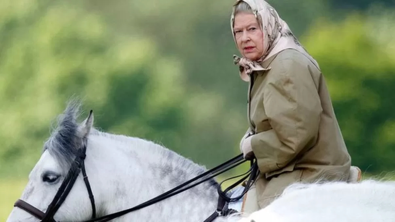 Regele Charles al III-lea vinde caii moșteniți de la mama sa. Cele 14 iepe vor fi scoase la licitație