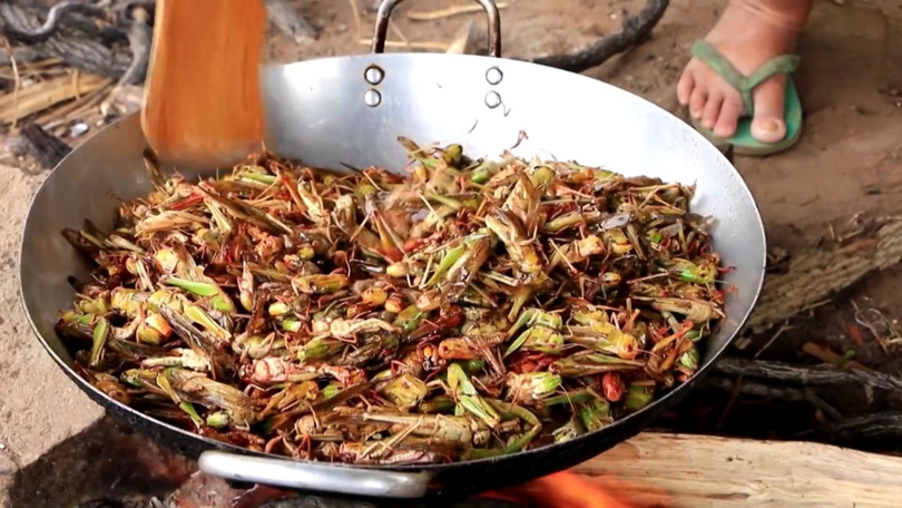 Petre Daea nu crede în insectele-aliment:„ Eu am combătut lăcustele, pentru că au distrus culturile. Să-i lăsăm pe alții să se hrănească cu ce doresc. Eu rămân constant și consecvent!”
