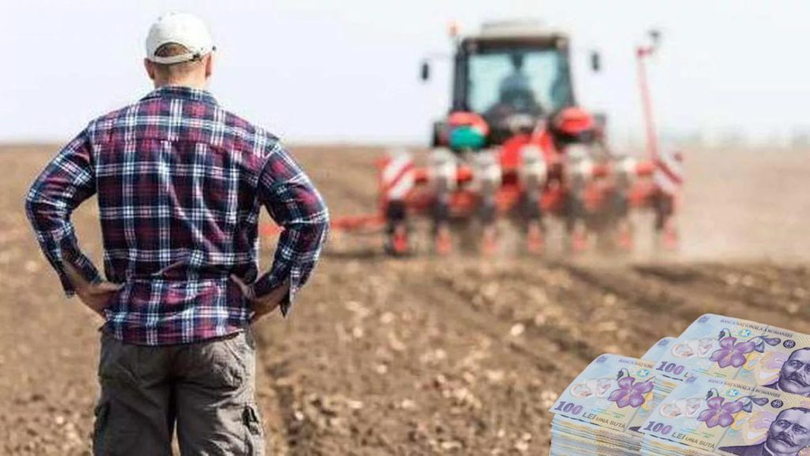 În 2022, Ministerul Agriculturii a avizat 19 tranzacții cu terenuri arabile mai mari de 30 de hectare