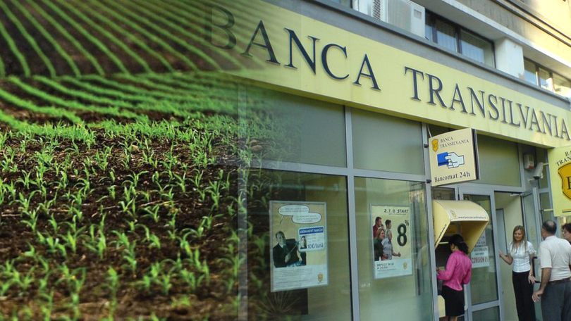 În primele 9 luni din an, Banca Transilvania a oferit finanţări agribusiness de aproape 3 mld. lei, mai mari cu peste 58% faţă de perioada similară din 2021