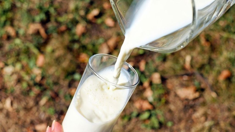 Datele analizate de INS arată că importurile de lapte sunt în scădere