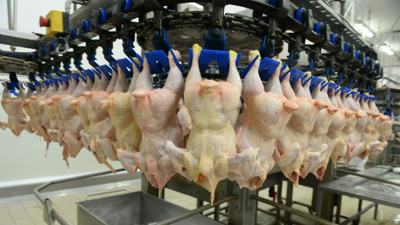 Alertă alimentară: Carne de pui contaminată cu salmonella