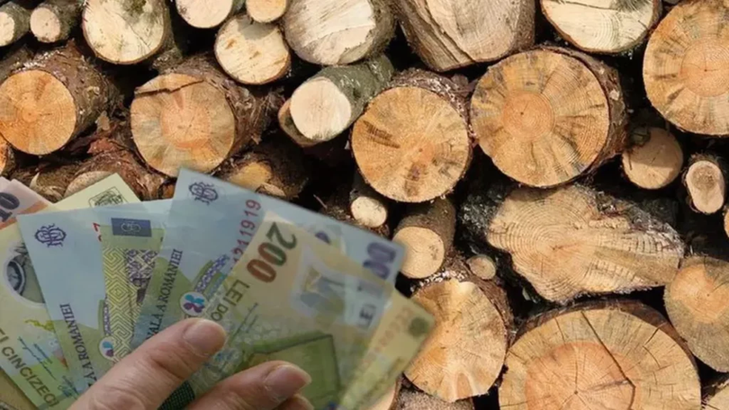 Preţul lemnelor de foc a crescut cu 15%