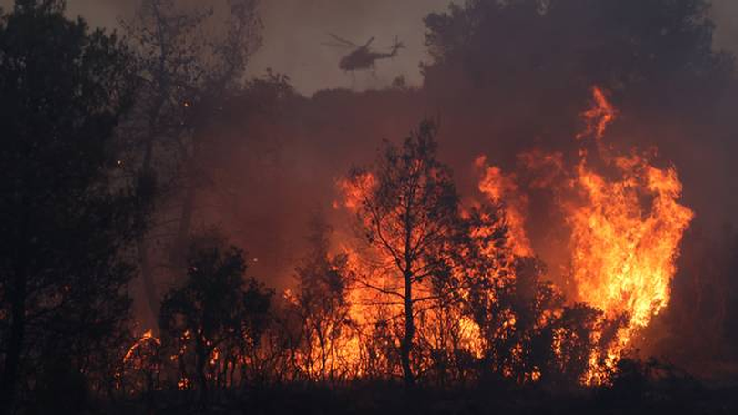 Incendiu de vegetație în Grecia