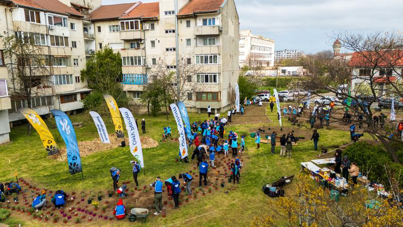 Tinerii între 18 și 29 de ani au un nivel de încredere semnificativ mai ridicat în ONG-uri (57%) comparativ cu persoanele de peste 60 de ani (36%) și sunt mai frecvent beneficiari ai serviciilor oferite de organizații.