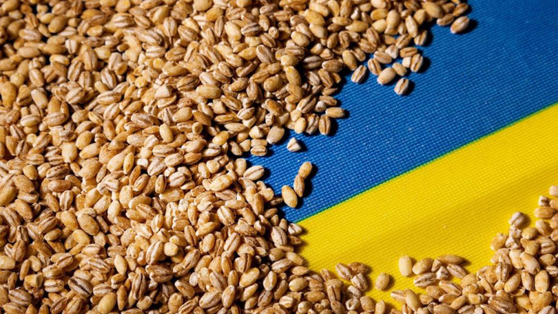 Cereale din Ucraina. Foto arhivă