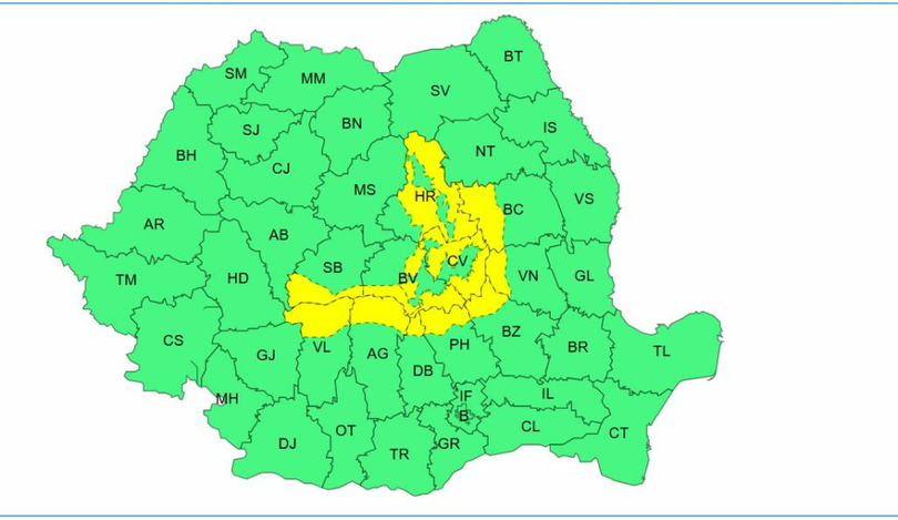 Cod galben de ninsori