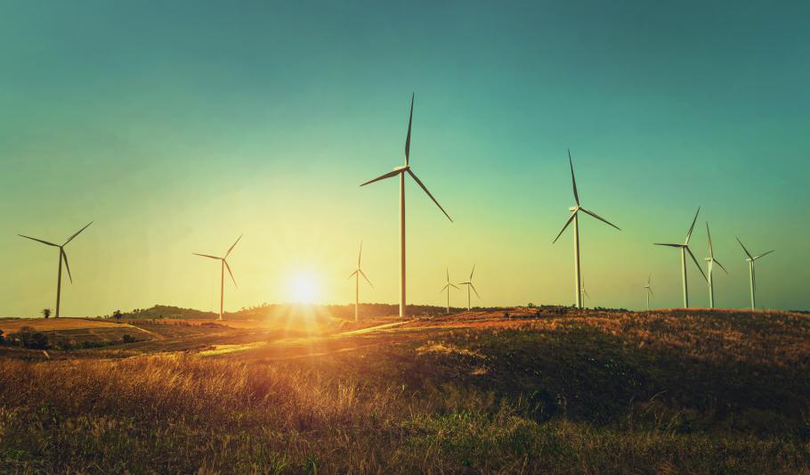 Cresc investițiile în energie verde/ sursa foto: observatornews.ro