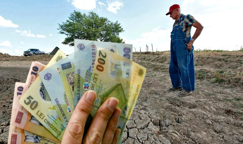 Bugetul MADR pe anul 2023 are prevăzută o sumă de circa 300 de milioane de lei pentru despăgubirea fermierilor afectaţi de secetă la culturile de primăvară