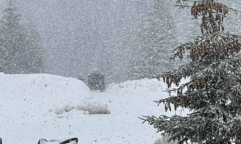 Ninsori în România