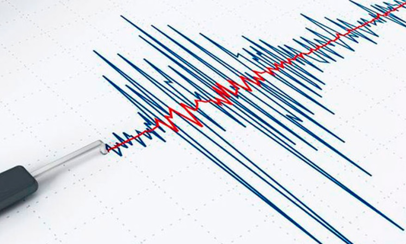Un nou cutremur a avut loc în România/ sursa foto: economica.net