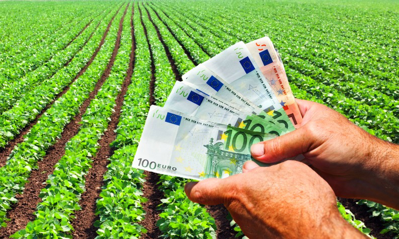 Pentru ce culturi poți obține subvenții de mii de euro la hectar în 2023