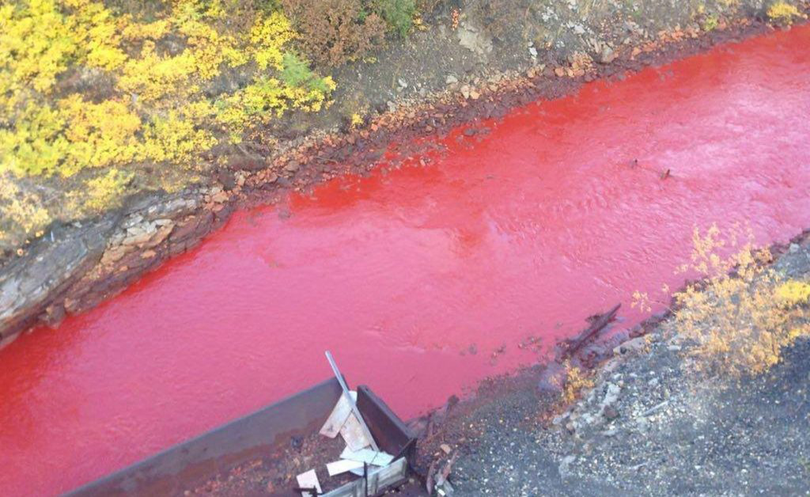 Poluarea cu fier face ca apa să-și schimbe culoarea în roșu. Concentrația maximă a apelor de la Cuprom a fost depășită de peste 30 de ori!