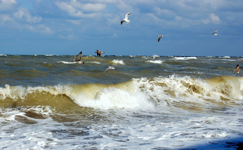 Marea Neagră