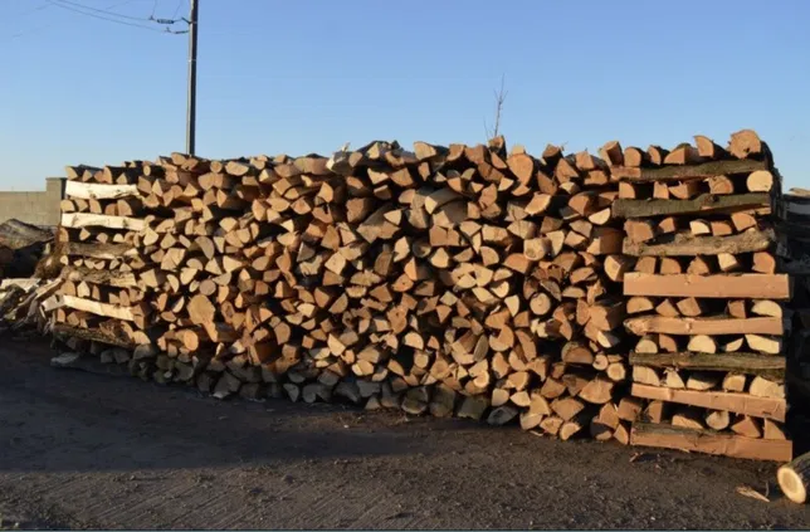 Plafonarea prețului lemnelor de foc, schimbată de Guvern. Românii vor plăti 400 de lei pentru un metru cub de lemn