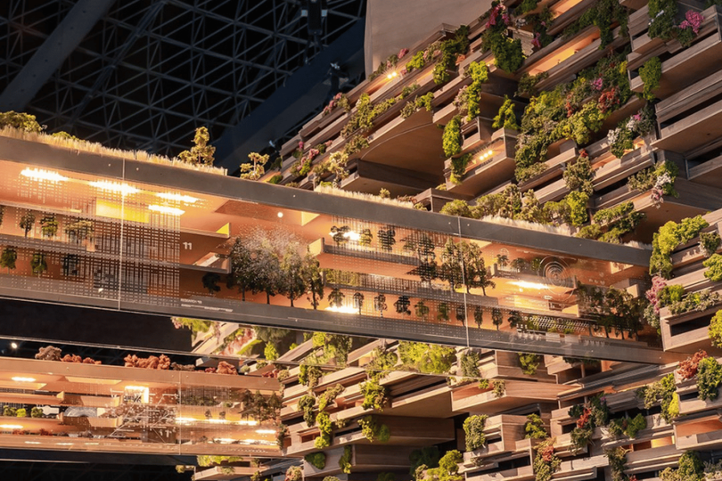 Mega orașul Neom, un proiect futurist pentru care se calcă în picioare drepturile omului