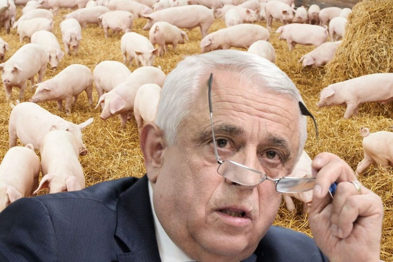 Romania are cea mai ieftină carne de porc din UE, spune Petre Daea