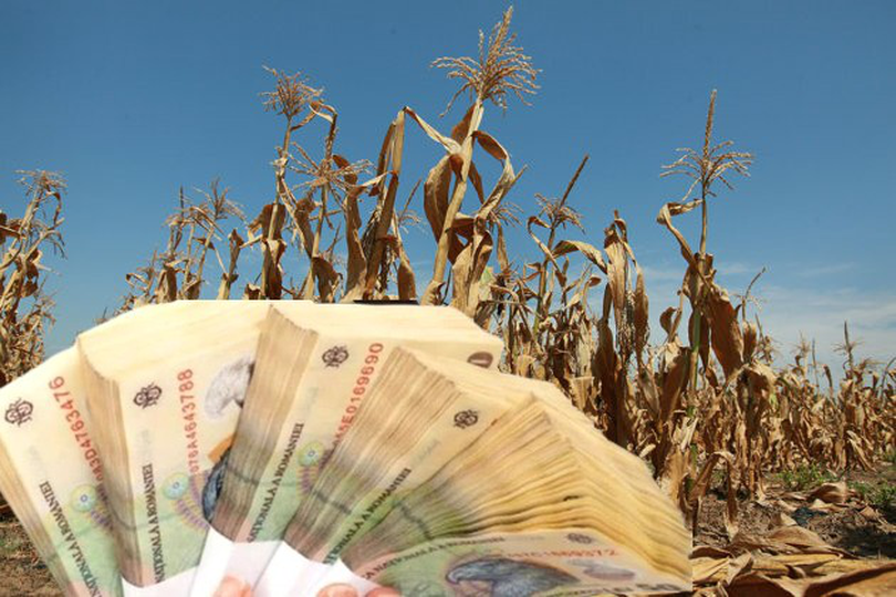 Fermierii români vor beneficia de fonduri europene de 391,4 milioane euro pentru gestionarea riscurilor din agricultură