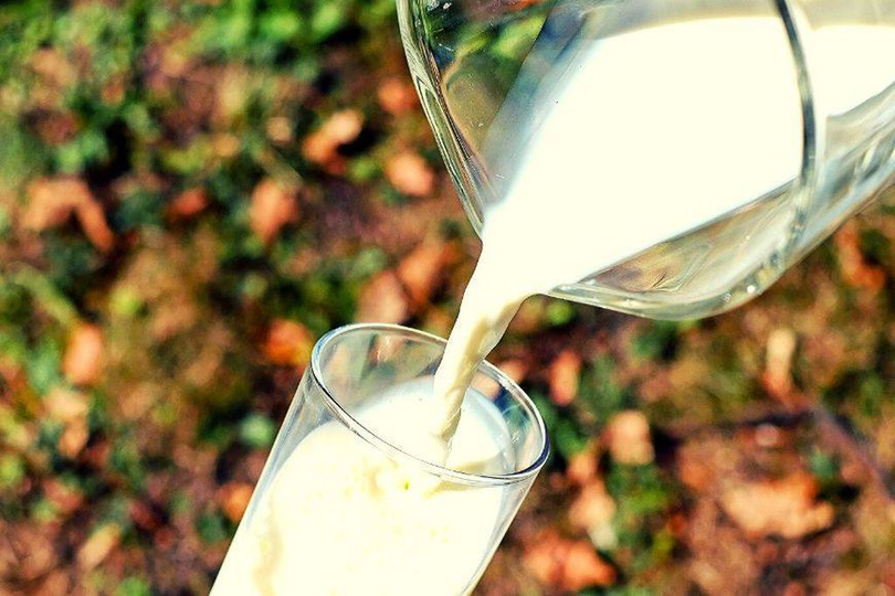Industria laptelui din România se află într-o situație critică