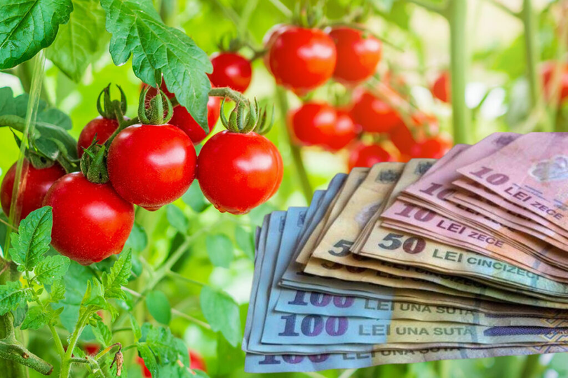 Programul Tomata, subvenţii 2024