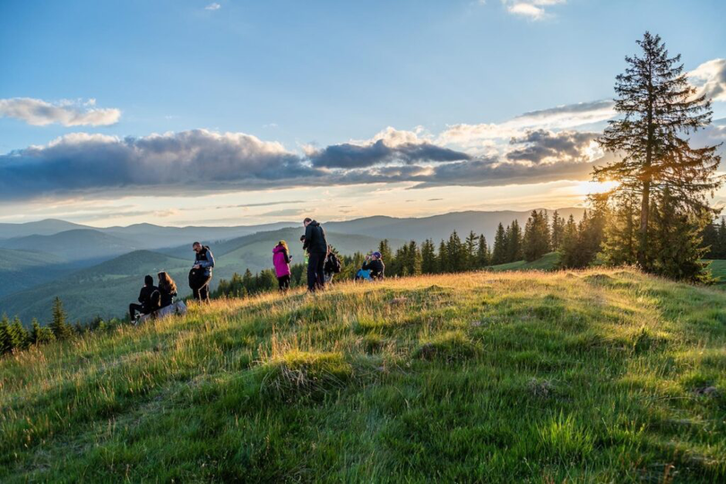 Pădure din Sibiu