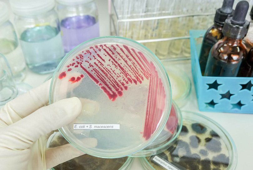 Spitalul Sf Maria din Iași