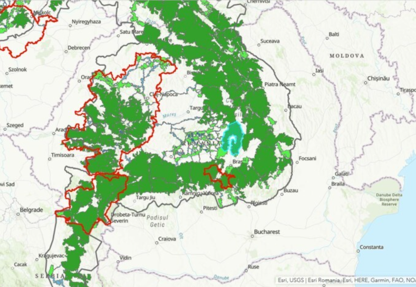 Harta urșilor din România