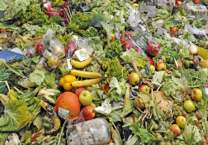 Risipă revoltătoare! Un cetățean european aruncă anual 127 de kilograme de mâncare! Gospodăriile sunt responsabile pentru 55% din deșeurile alimentare