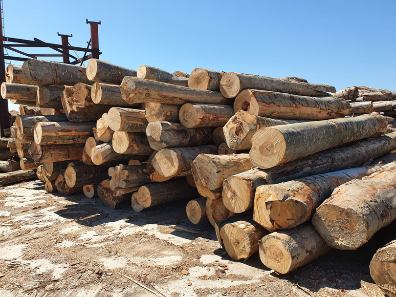 Prețul lemnelor de foc va fi schimbat. Nicolae Ciucă: „Se dovedește că nu este tocmai conform cu realitatea, de aceea vom lua măsuri”