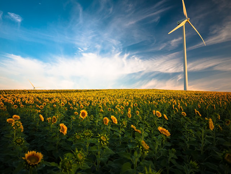 Comisia Europeană dă undă verde unei scheme de ajutor pentru energia eoliană. Țara noastră pune la bătaie un sprijin de 3 miliarde de euro. Foto: Unsplash