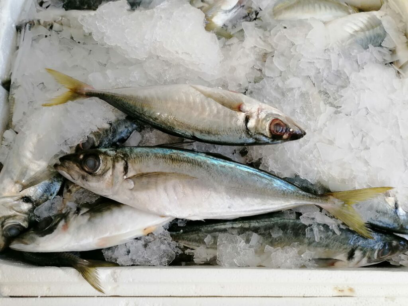 pește