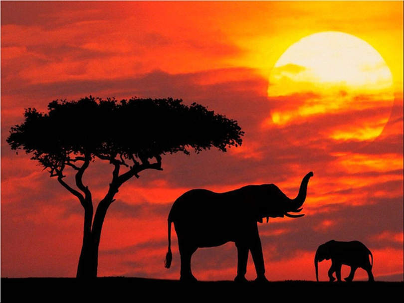 Vacanță Kenya