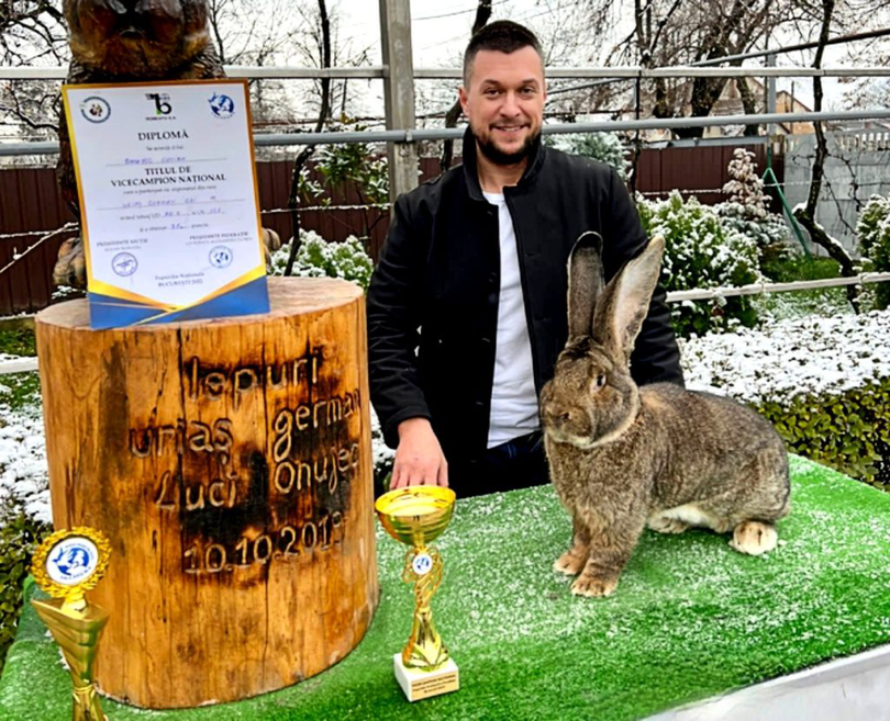Lucian Onujec se mândrește cu o serie de trofee câștigate cu iepurii săi. Sursa Foto: Gandul