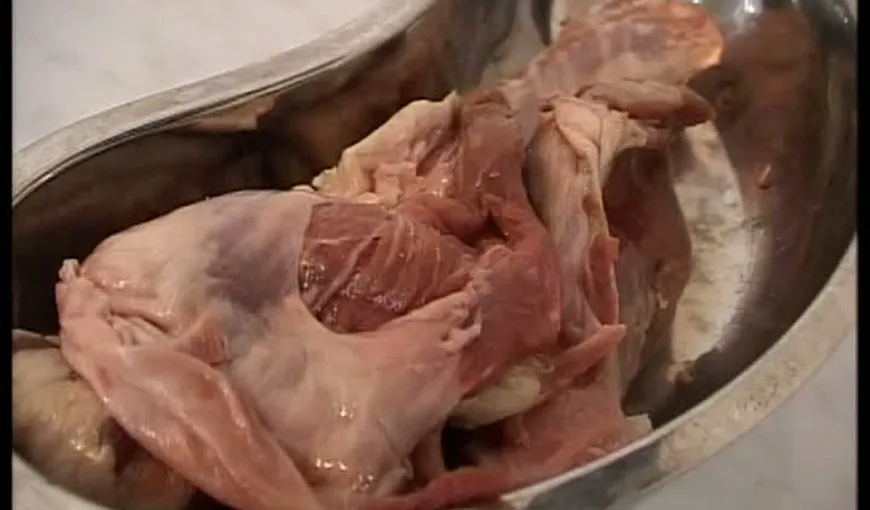 Focar de trichineloză la Sibiu: 5 persoane, la spital după ce au mâncat carne de porc