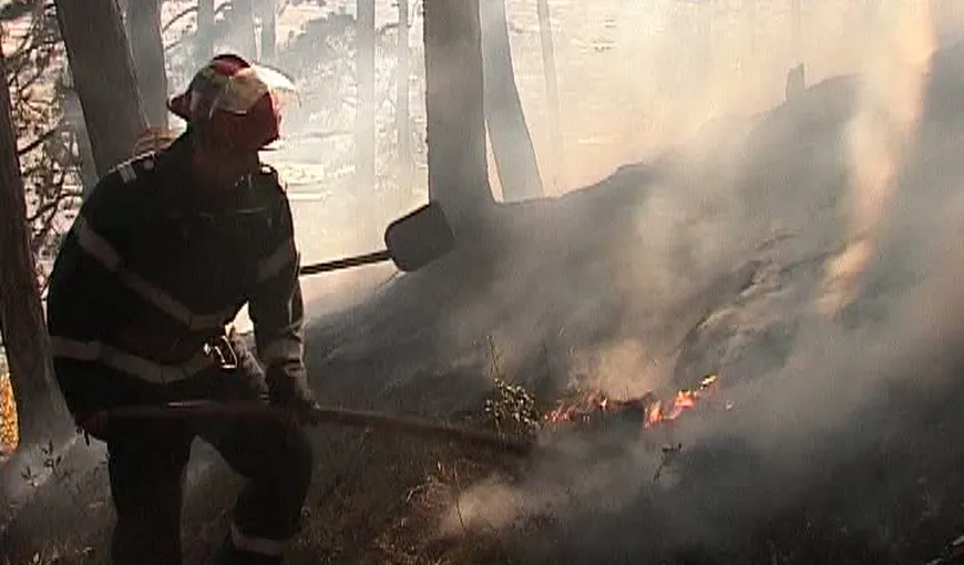 România lui 2011: Incendiu de pădure combătut cu lopeţi şi mături VIDEO