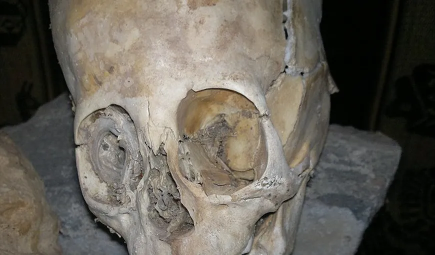 Descoperire neaşteptată: Este acesta craniul unui extraterestru?