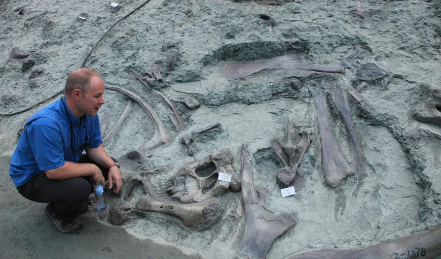 Posibile urme ale coabitării oamenilor cu dinozaurii, descoperite în China