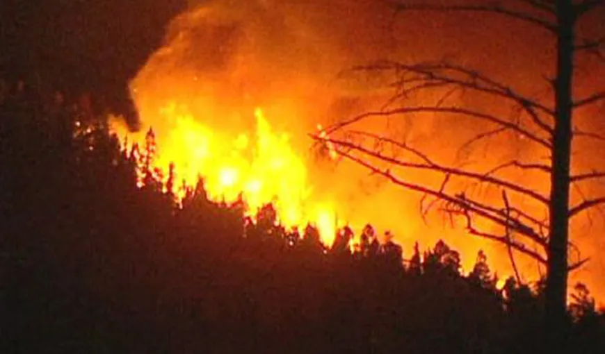 Incendiul din zona Transalpina a fost stins